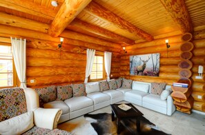 TV, fireplace, video games, DVD player