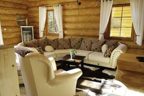 TV, fireplace, video games, DVD player