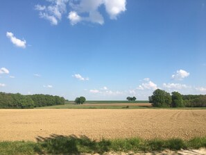 Exterior - Tui's Nest Glamping (Villentrois-Faverolles-en-Berry)
