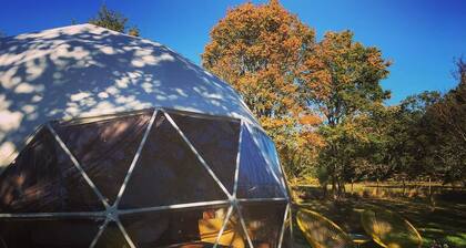 Tui's Nest Glamping
