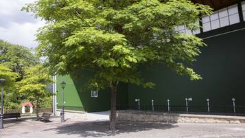 Terrein van de accommodatie