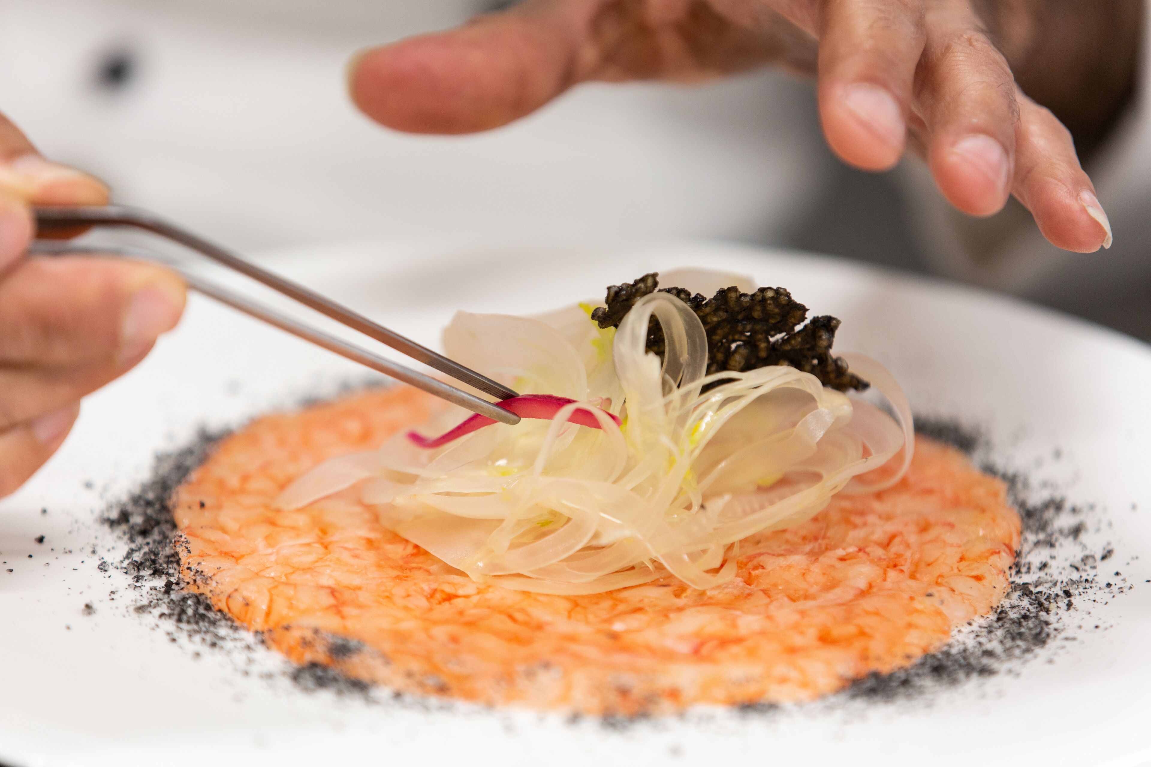 A person using tongs to place a dish on a plate.