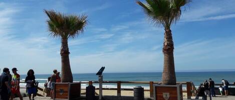 A coastal walkway with palm trees, a beach, and a clear sky.
