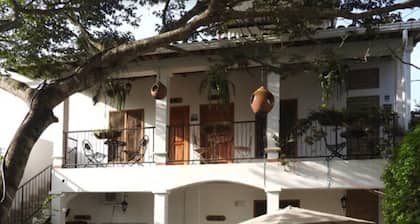 Jardin Cafe Restaurant & Hostel