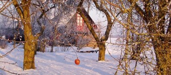 One Bedroom Flat - Relax & Unwind - At peace with  nature