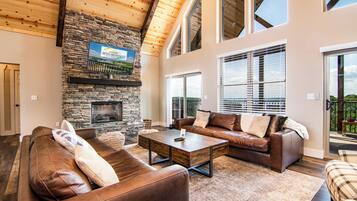 TV connectée, cheminée, jeux vidéo, lecteur de DVD