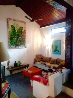 Una televisión, una chimenea