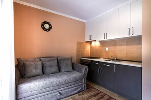 Standard Apartment | Living room - Residence Pejovic (Glavatske Kucice)