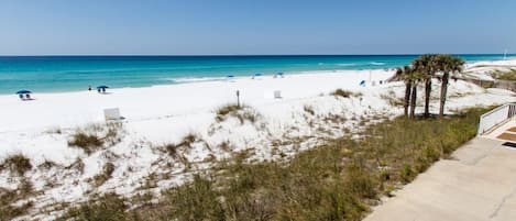 Condo | Praia | Perto da praia