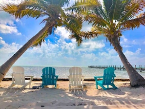 Una playa con cuatro sillas Adirondack, una palmera y un muelle al fondo.