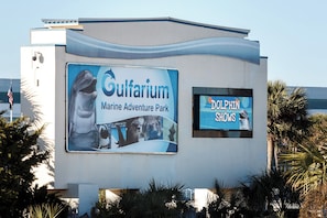 Pool - Surf Dweller 402 - Seashell Haven (Fort Walton Beach)