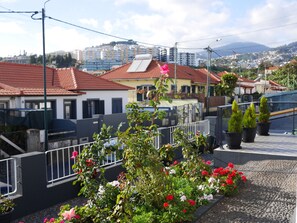 A rooftop garden with potted plants and flowers, a metal railing, and buildings in the background. - Cozy house in Funchal with BBQ (Funchal)