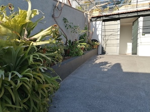 Stroll through the beautifully landscaped garden, lined with potted plants, to the entrance of this modern building.
