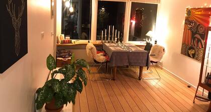 Apartment: Hygge in Soborg