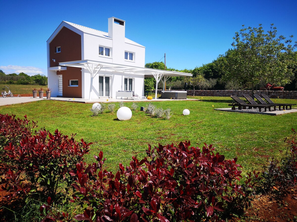 Imagen de perfil del propietario o de la propietaria