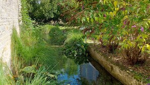 Un étroit canal bordé d’une végétation luxuriante et d’un mur de pierre d’un côté.