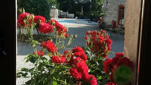 Une vue à travers une fenêtre, avec des fleurs rouges au premier plan, un bâtiment en pierre et un ciel dégagé.