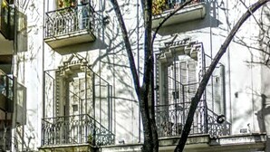 Un edificio a più piani con balconi, un albero di fronte e un'auto parcheggiata.
