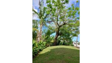 Ărea da propriedade