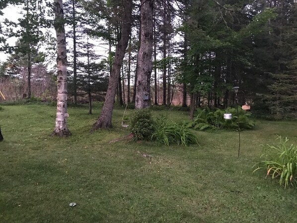 A forested area with tall trees, a grassy field, and a birdhouse. - Wild Grape Cottage - 8 Miles from Two Harbors and Lake Superior (Two Harbors)
