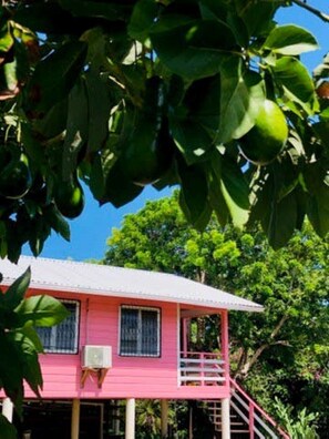 Exterior - Pink Iguana house in a quiet & safe area close to center (Utila)