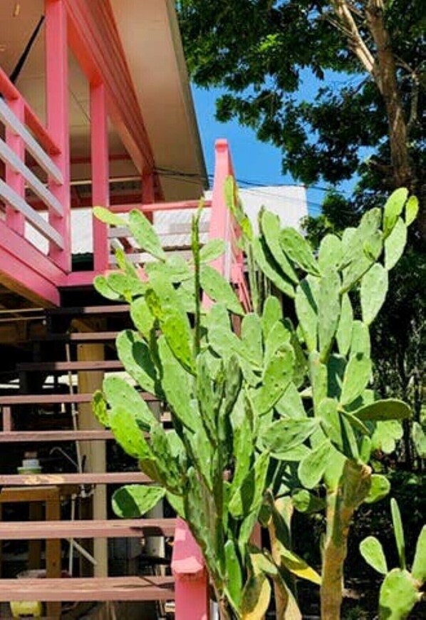 Property grounds - Pink Iguana house in a quiet & safe area close to center (Utila)