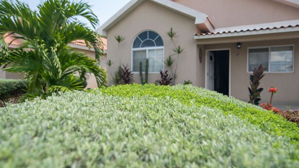 Unclassified image, 1 of 47, button - The Golf Oasis II (Kingston)
