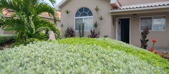 The Golf Oasis II