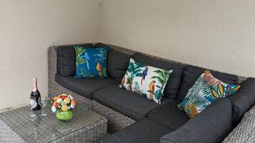 TV connectée, cheminée, jeux vidéo, lecteur de DVD