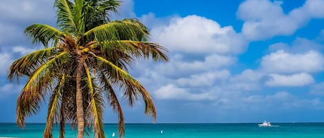 Plage à proximité