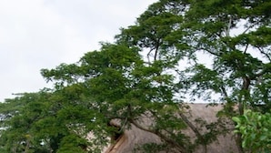 A thatched-roof structure with a wooden deck over water, surrounded by greenery. - Samadhi Ecohotel by Rotamundos (Puerto Escondido)