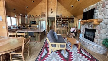 TV, fireplace, books