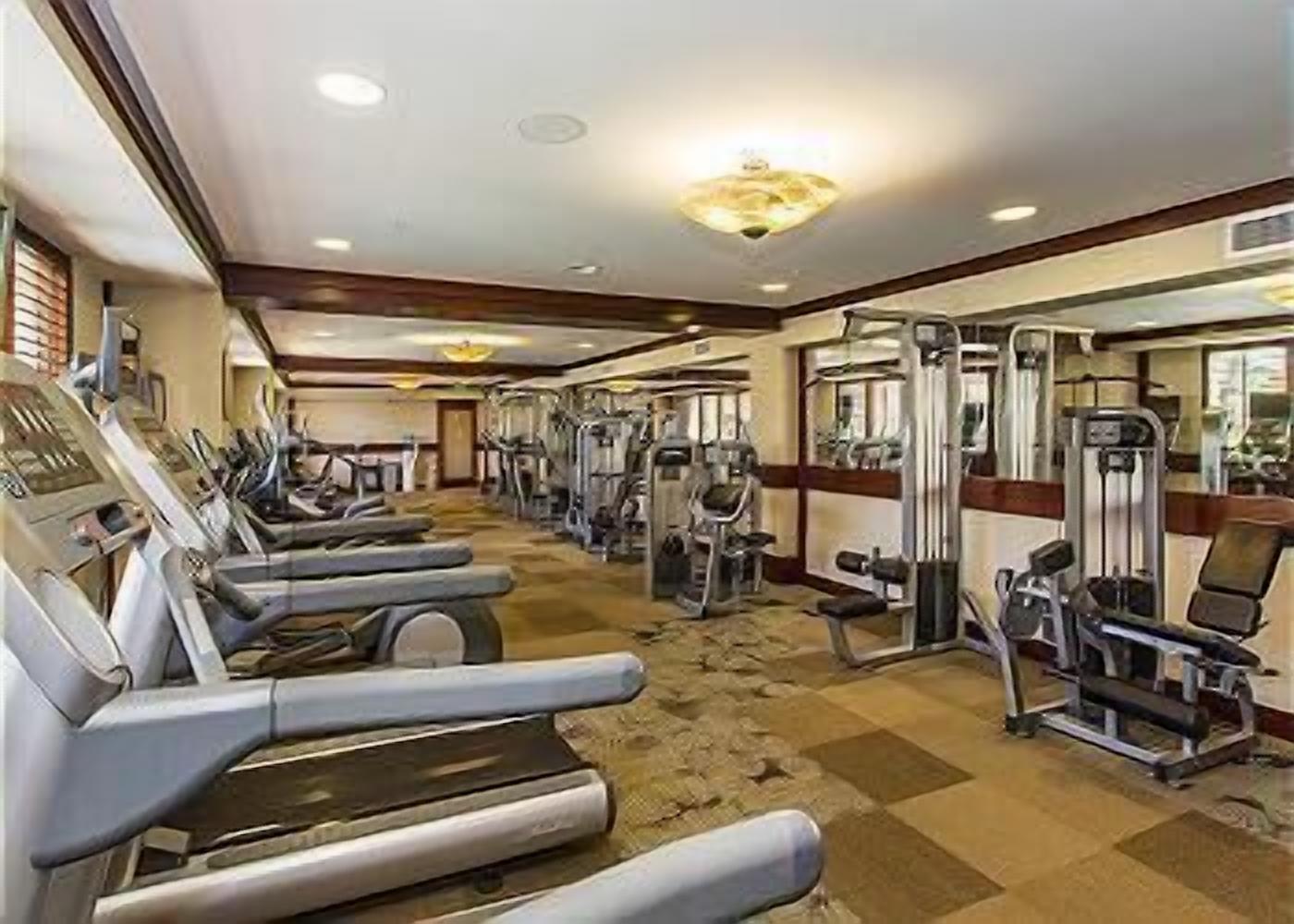 Une salle de sport équipée de tapis de course, d’appareils de musculation et d’un mur recouvert de miroirs.