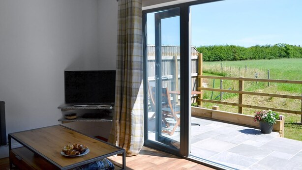 Una stanza con un tavolo di legno, una televisione e una porta a vetri scorrevoli che dà su un balcone con una recinzione di legno e una pianta in vaso.