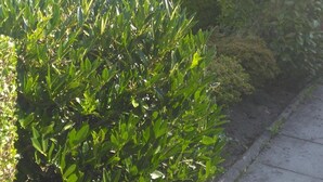 未分類圖片，第 3 張 (共 45 張)，按鈕