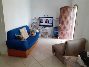 Flat-screen TV