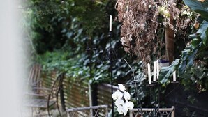 Terrassa exterior amb taula de fusta rodona, cadires de vimet, plantes penjants i llums de garlandes.