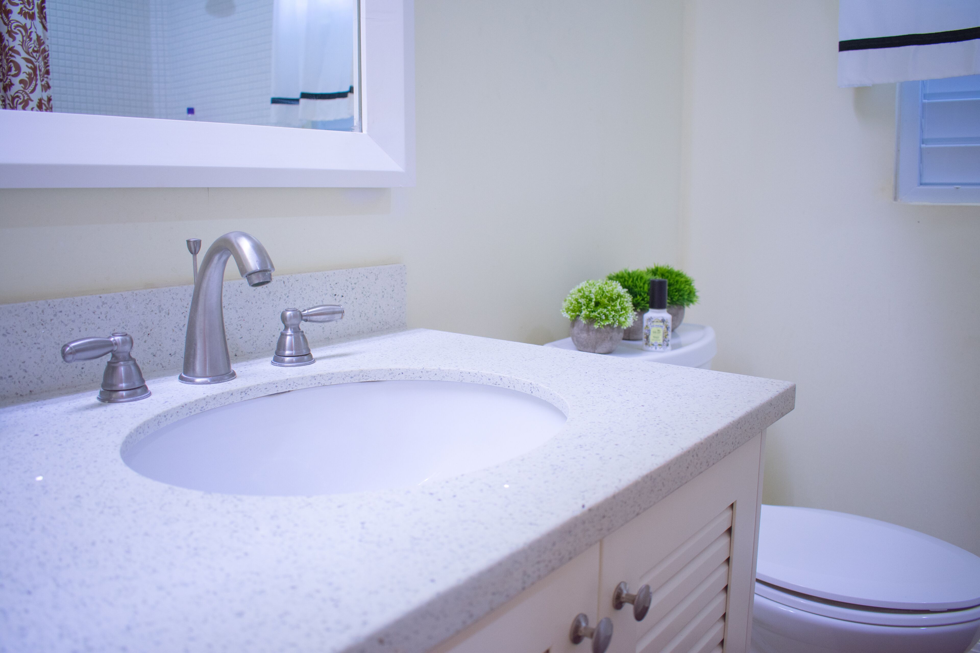 A bathroom with a white sink, two faucets, a mirror above the sink, a toilet, and a small potted plant on the counter.