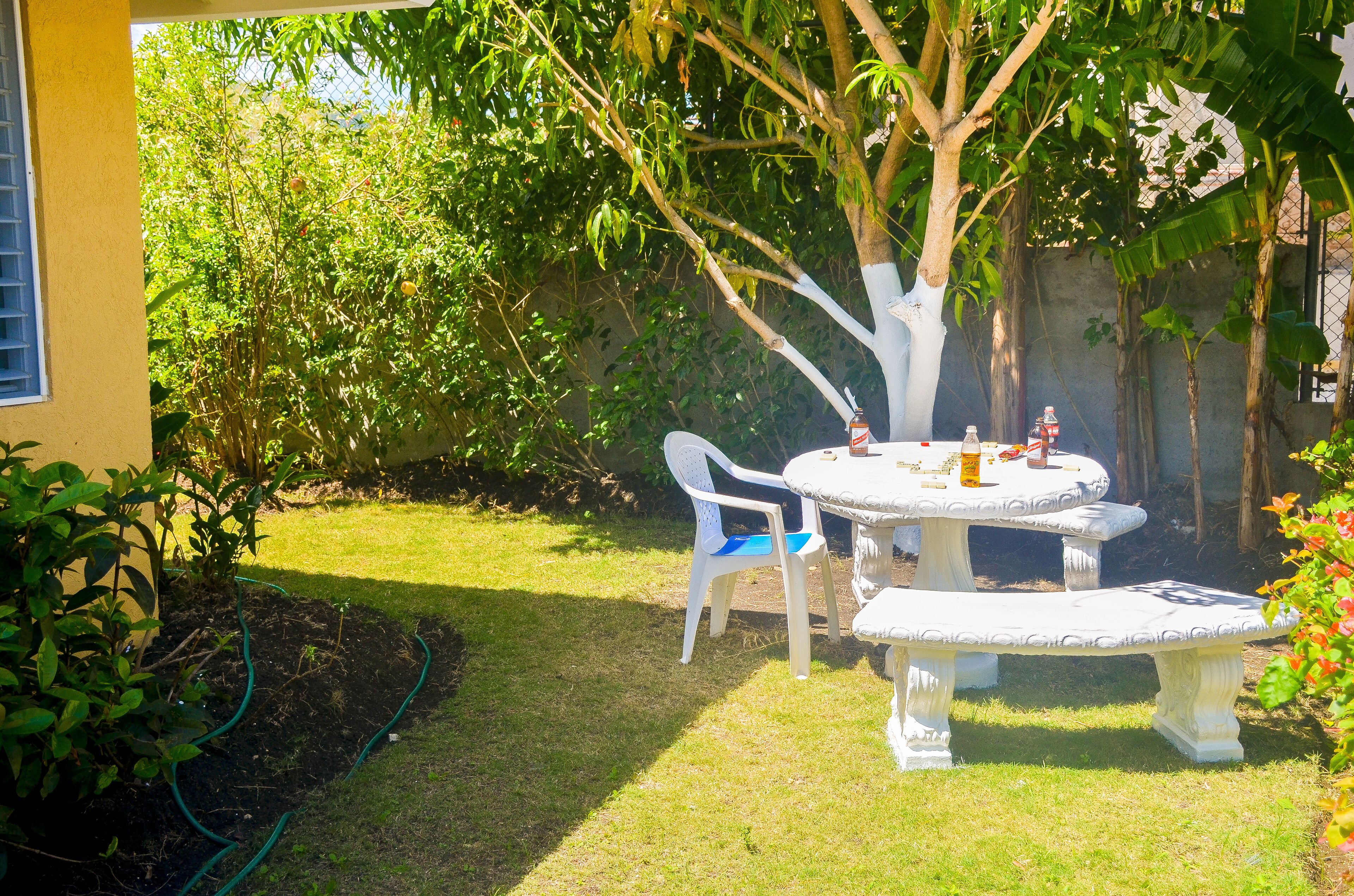 A garden with a round table and chairs, surrounded by greenery and a tree.