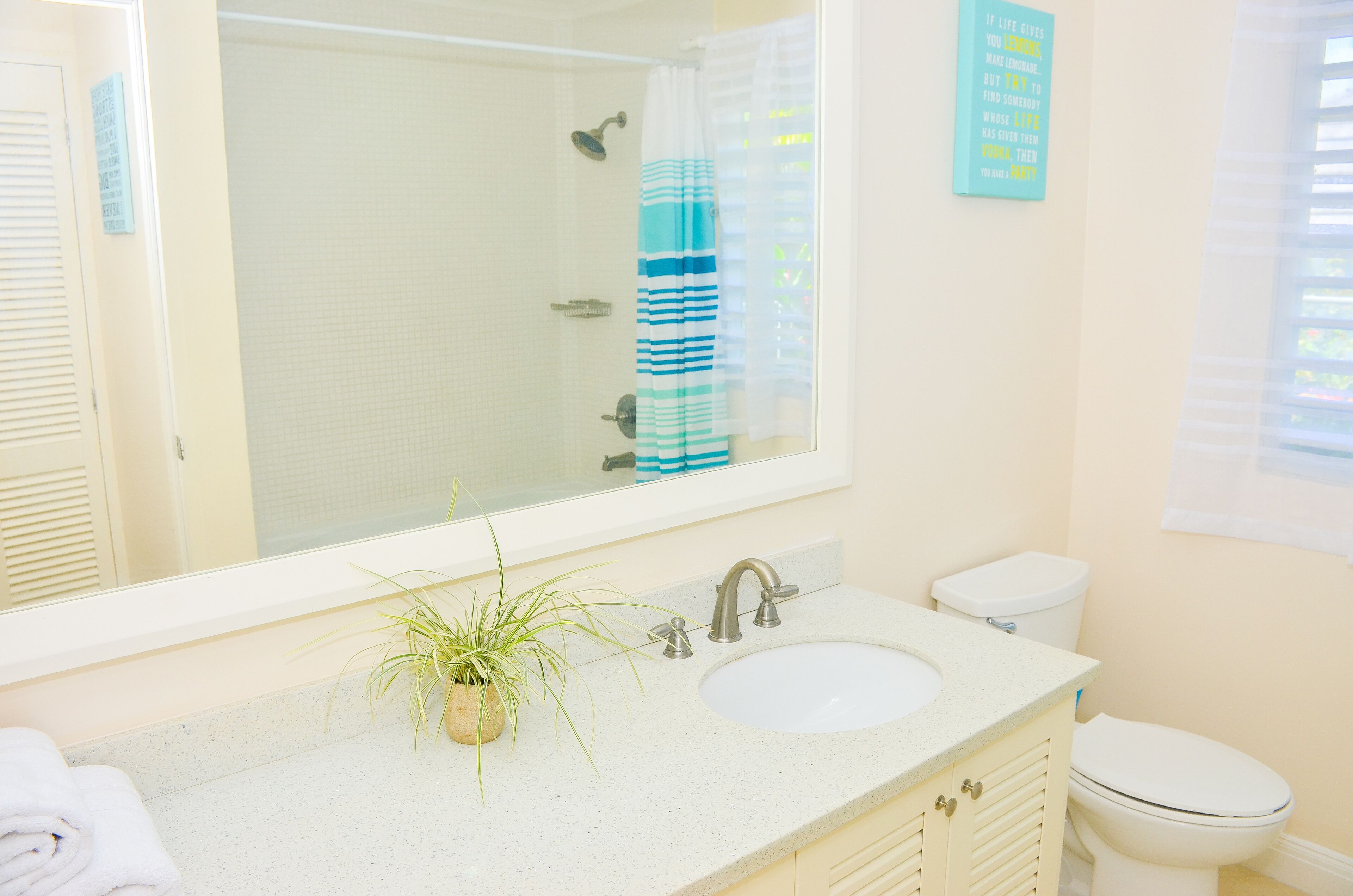 A bathroom with a sink, mirror, toilet, and a potted plant.