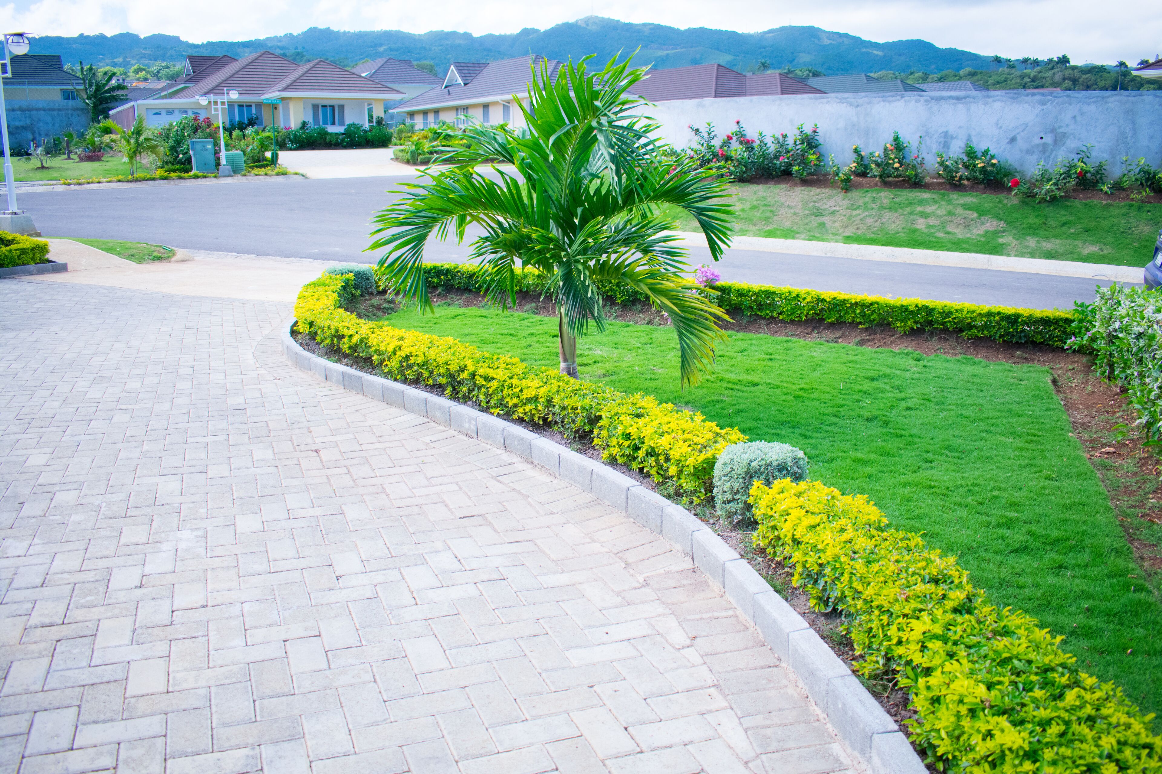 A paved driveway leading to a residential area with houses, a palm tree, and well-maintained flower beds.