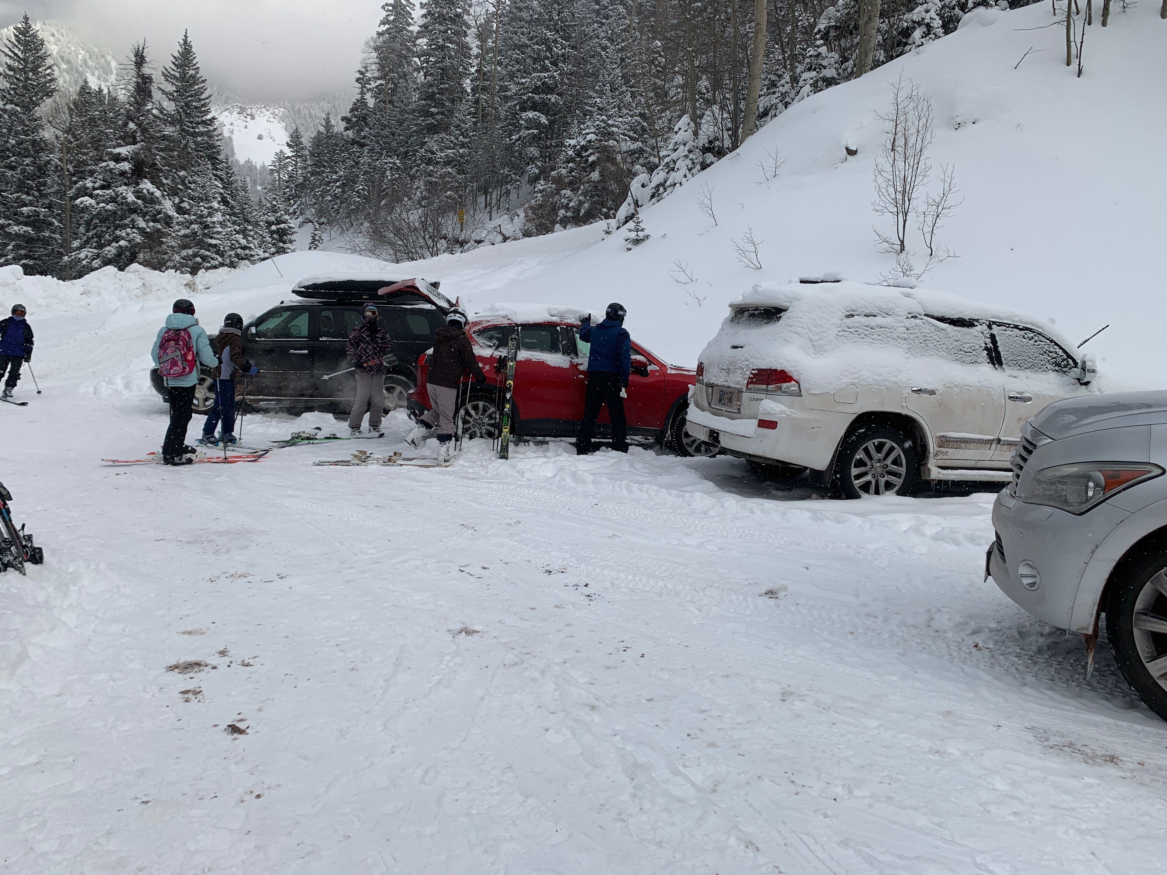 Snowy Snow Bear Parking Lot