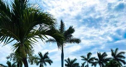 Free Golf! Legendary Vidanta Luxury! HOLIDAY DATES AVAILABLE!