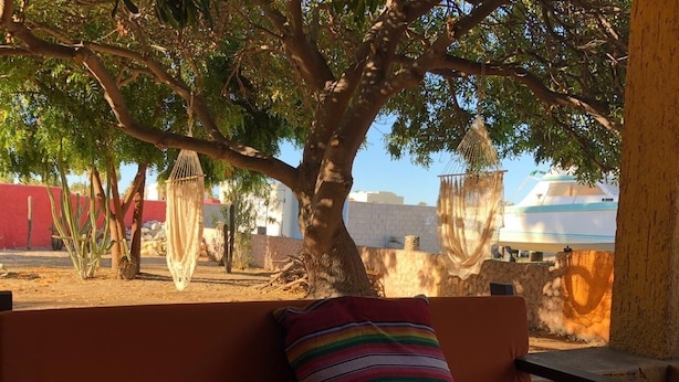 A wooden bench with a striped cushion under a tree. - Casa Edilia - Smack in the middle of town/one block from the beach (Los Barriles)