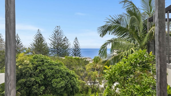 A lush garden with various trees and a view of the ocean. - Duke St Convenience at your doorstep! Beach living (SUNSHINE BEACH)