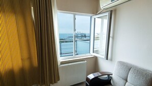 A room with a large window, a radiator, a grey sofa, and a curtain.