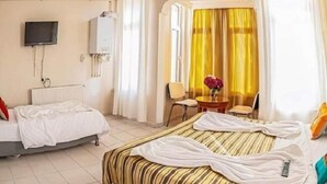 A hotel room with two beds, a TV, a radiator, a window with curtains, and a small table with a vase. - White Palace Apart (Istanbul)