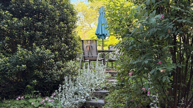 Ein Garten mit Steinstufen, einem Metallstuhl und einem blauen Sonnenschirm.