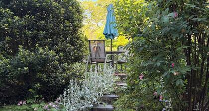 Historic center of the city