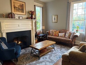 Smart TV, fireplace, books